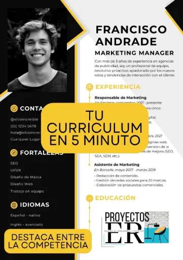 Curriculum VITAE
